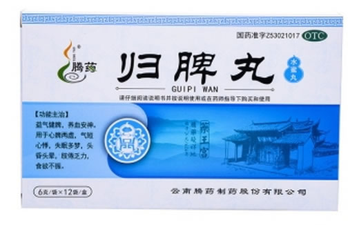 腾药归脾丸招商代理 12袋