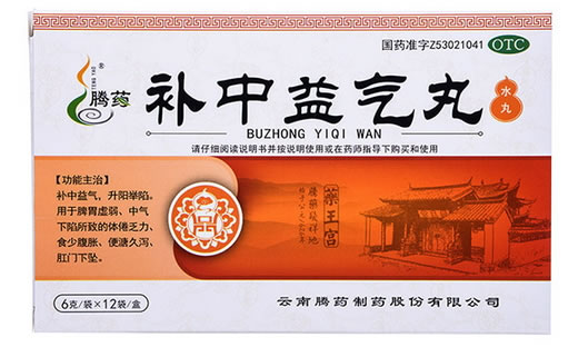 腾药补中益气丸招商代理 12袋