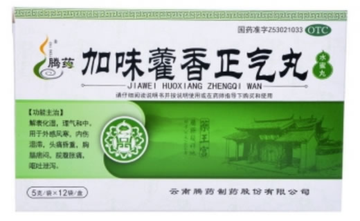 腾药加味藿香正气丸招商代理 12袋