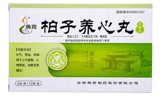 腾药柏子养心丸招商代理 12袋