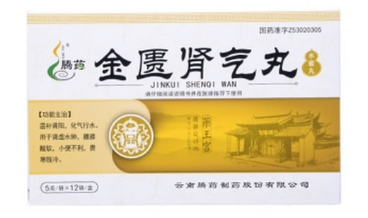 腾药金匮肾气丸招商代理 12袋