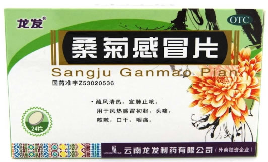 龙发桑菊感冒片招商代理 24片