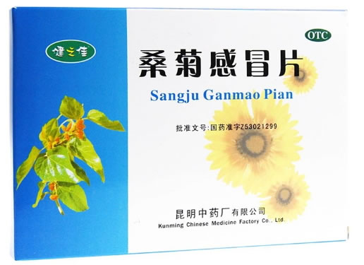 健之佳桑菊感冒片招商代理 40片