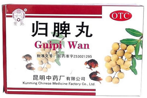 归脾丸招商代理 :归脾丸 6g*10袋 昆明市中药厂