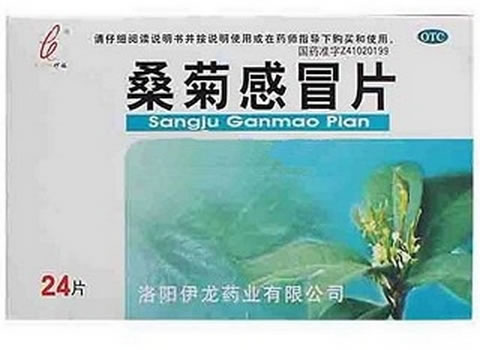 桑菊感冒片招商代理 24片 洛阳伊龙