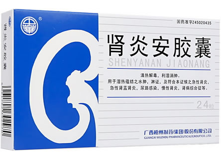 肾炎安胶囊