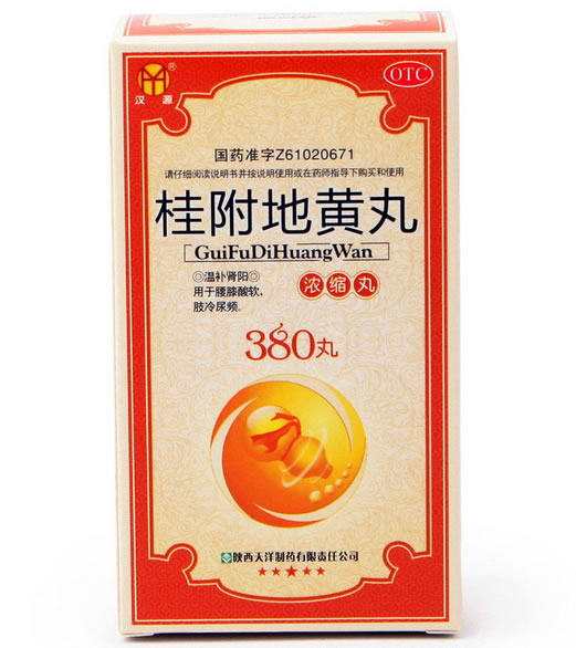 汉源桂附地黄丸(浓缩丸)招商代理 380丸 天洋制药