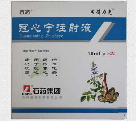 冠心宁注射液