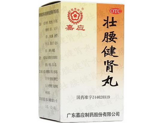 嘉应壮腰健肾丸招商代理 52g(水蜜丸) 广东嘉应制药