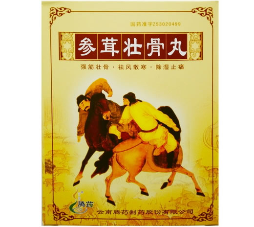参茸壮骨丸招商代理 60丸 云南腾药制药