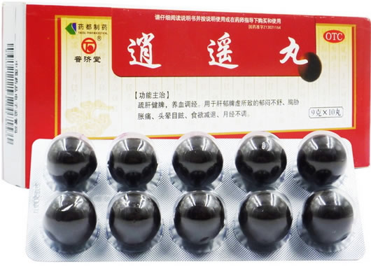 逍遥丸招商代理 :逍遥丸 9g*10丸 河北药都制药