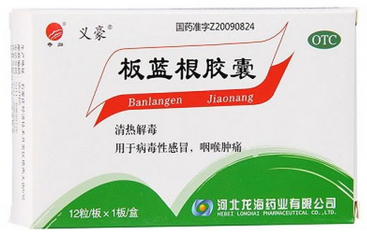 板蓝根胶囊招商代理 12粒 河北龙海药业