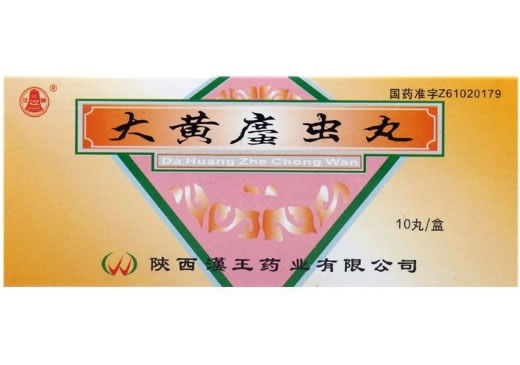 汉钟大黄䗪虫丸招商代理 10丸 汉王药业