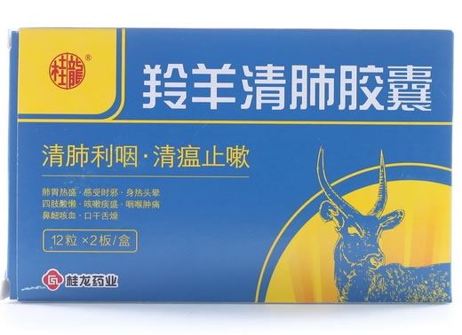 羚羊清肺胶囊
