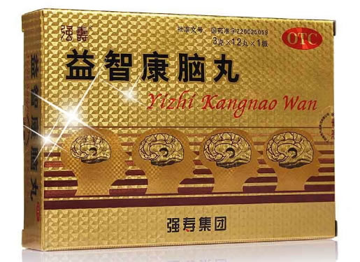 益智康脑丸