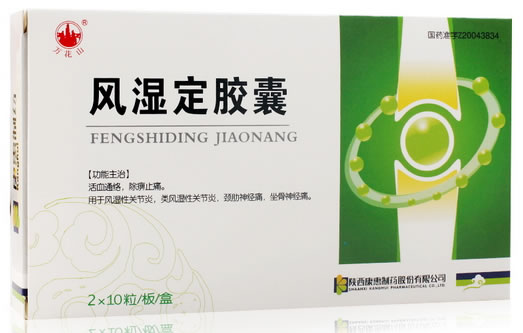 风湿定胶囊