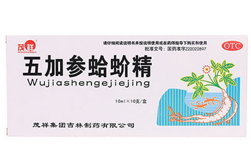 茂祥五加参蛤蚧精招商代理 10支 茂祥集团