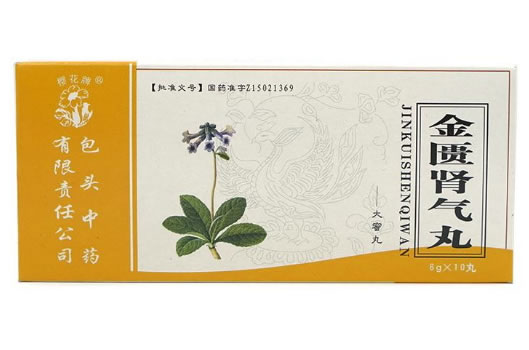 樱花牌金匮肾气丸招商代理 6g*10丸 包头中药