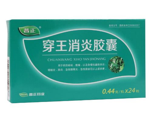 穿王穿王消炎胶囊招商代理 0.44g*24粒 江西普正制药