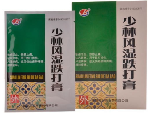 少林风湿跌打膏招商代理 10片 湖南金寿