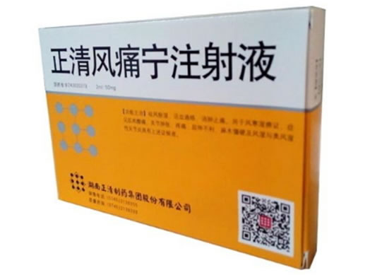 正清风痛宁注射液