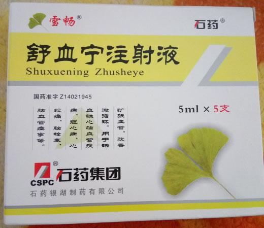 雪畅/石药舒血宁注射液招商代理 5支