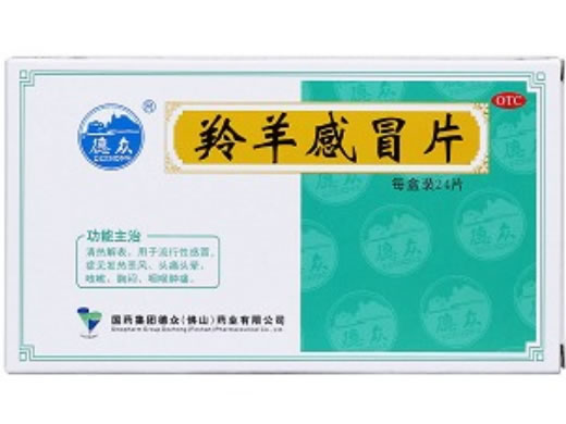 德众羚羊感冒片招商代理 24片 佛山德众药业