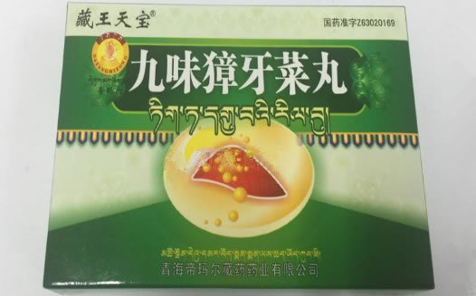 藏王天宝九味獐牙菜丸招商代理 30丸