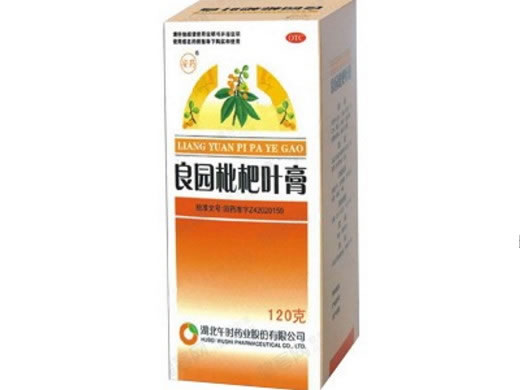 良园枇杷叶膏招商代理 :良园枇杷叶膏 120g 湖北午时药业
