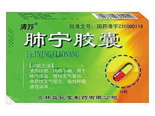 肺宁胶囊招商代理 24粒 益民堂制药