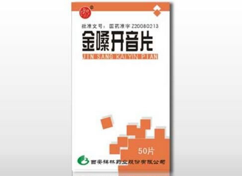 碑林金嗓开音片招商代理 50片