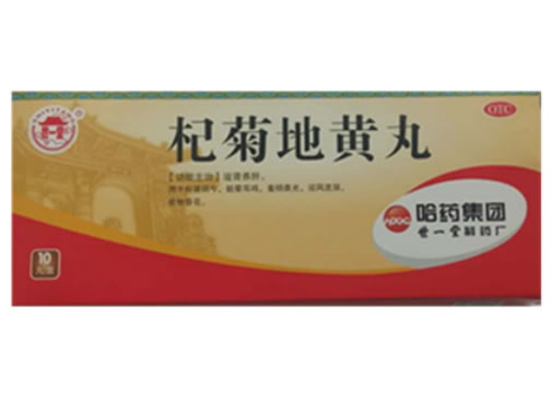 世一堂杞菊地黄丸招商代理 10丸 世一堂制药厂