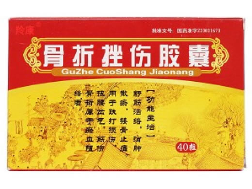 骨折挫伤胶囊招商代理 :骨折挫伤胶囊 0.29g*40s 哈尔滨华雨制药