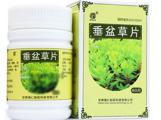 武都垂盆草片招商代理 60片 武都