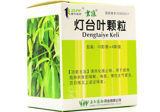 雲植灯台叶颗粒招商代理 