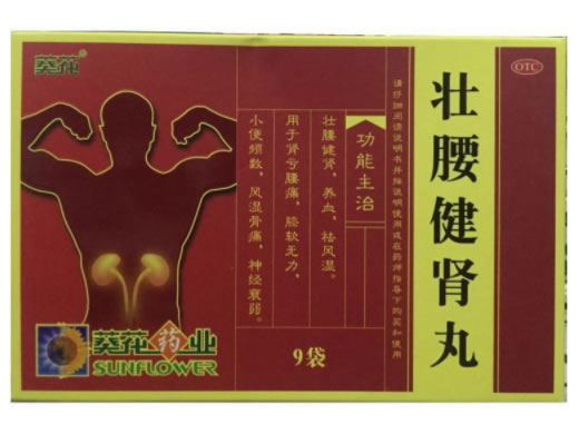 葵花药业壮腰健肾丸招商代理 9袋 葵花药业