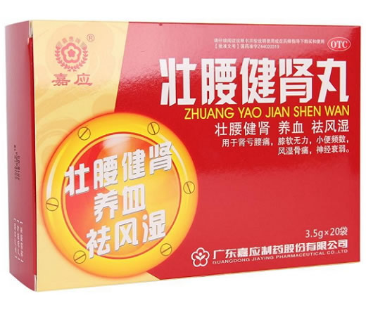 嘉应壮腰健肾丸招商代理 20袋 嘉应制药