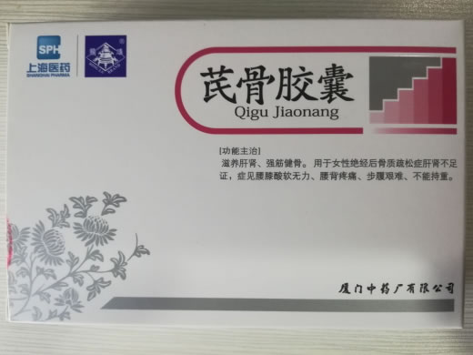 芪骨胶囊