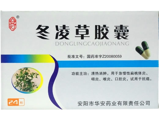 安灯冬凌草胶囊招商代理 24粒 安阳市华安药业