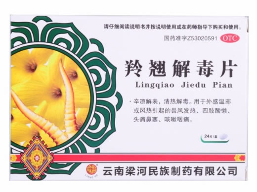 梁河羚翘解毒片招商代理 