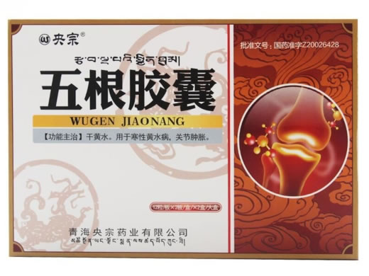 央宗五根胶囊招商代理 24粒*2盒