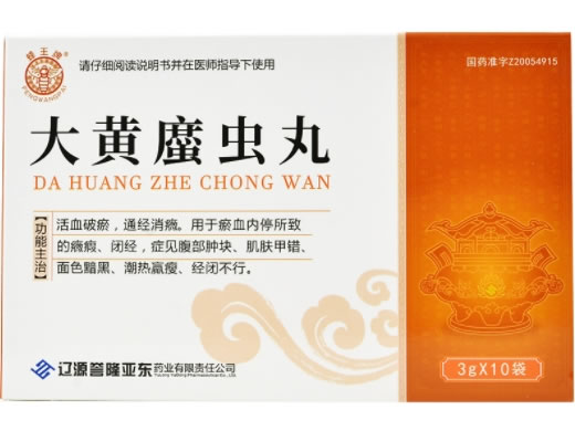 大黄䗪虫丸招商代理 10袋 誉隆亚东药业