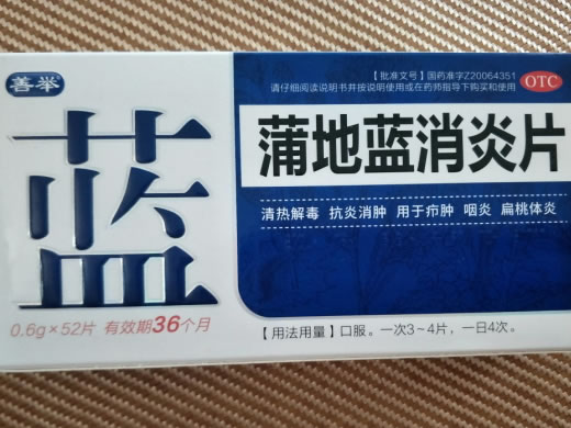 善举蒲地蓝消炎片招商代理 52片