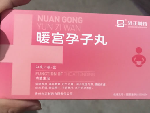 暖宫孕子丸招商代理 24丸 贵州光正制药