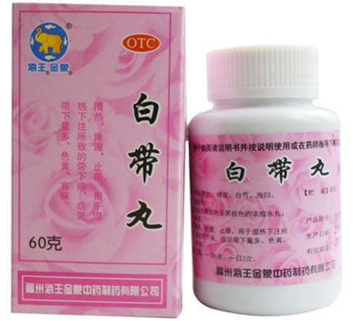白带丸招商代理 60g 福州海王金象