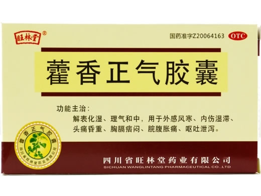 旺林堂藿香正气胶囊招商代理 24粒 旺林堂药业