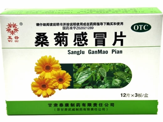 桑菊感冒片招商代理 甘肃泰康