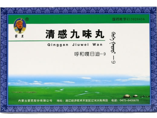 蒙王清感九味丸招商代理 36丸