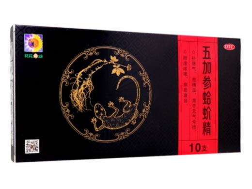 五加参蛤蚧精招商代理 10支 葵花药业