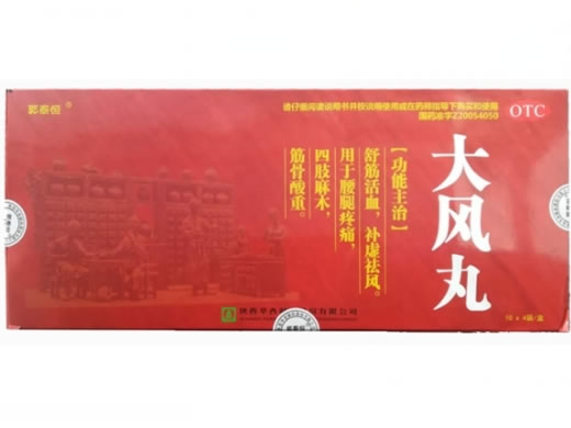 郭泰恒大风丸招商代理 4袋*10盒